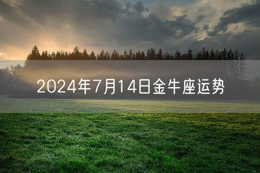 2024年7月14日金牛座运势(图1)