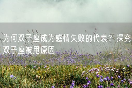 为何双子座成为感情失败的代表？探究双子座被甩原因(图1)