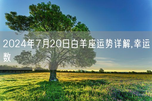 2024年7月20日白羊座运势详解,幸运数(图1)