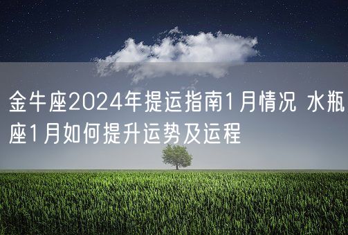 金牛座2024年提运指南1月情况 水瓶座1月如何提升运势及运程(图1)