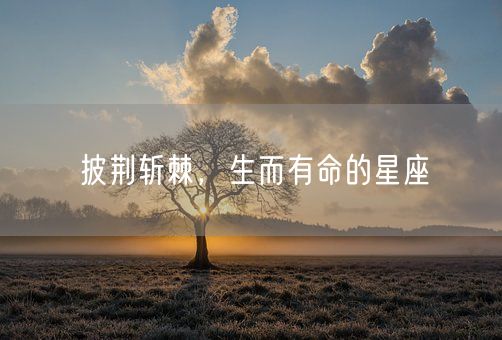 披荆斩棘，生而有命的星座(图1)