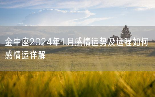 金牛座2024年1月感情运势及运程如何 感情运详解(图1)