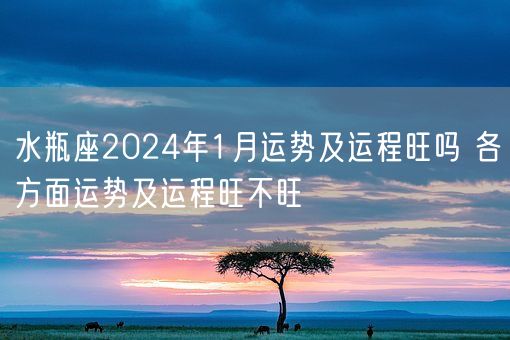 水瓶座2024年1月运势及运程旺吗 各方面运势及运程旺不旺(图1)