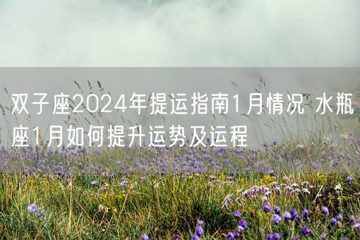 双子座2024年提运指南1月情况 水瓶座1月如何提升运势及运程(图1)