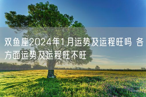 双鱼座2024年1月运势及运程旺吗 各方面运势及运程旺不旺(图1)