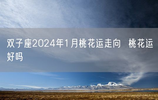 双子座2024年1月桃花运走向  桃花运好吗(图1)