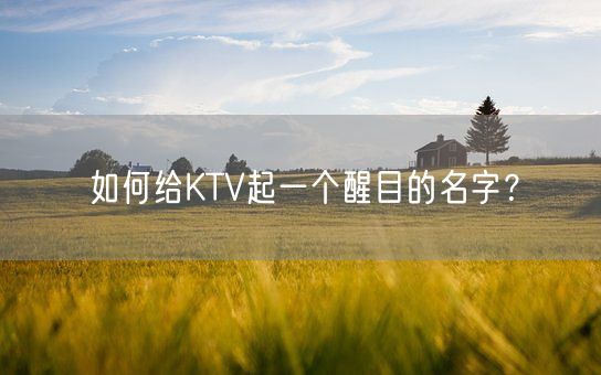 如何给KTV起一个醒目的名字？(图1)