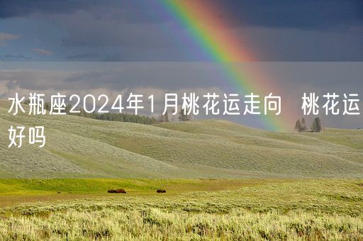 水瓶座2024年1月桃花运走向  桃花运好吗(图1)