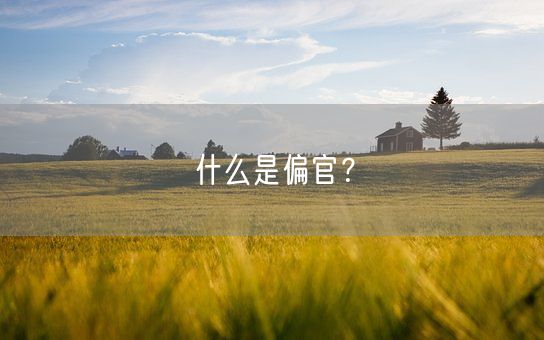 什么是偏官？(图1)