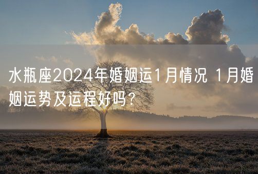 水瓶座2024年婚姻运1月情况 1月婚姻运势及运程好吗？(图1)