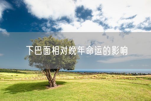 下巴面相对晚年命运的影响(图1)