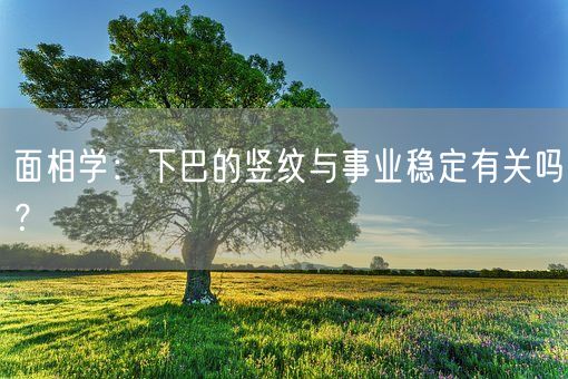 面相学：下巴的竖纹与事业稳定有关吗？(图1)