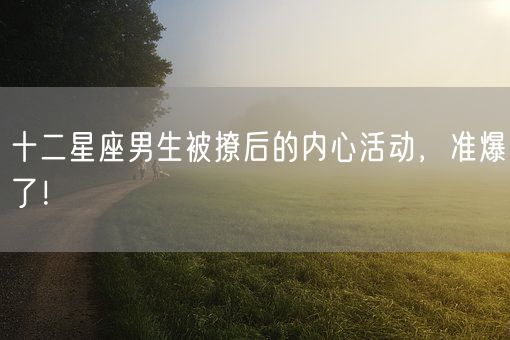 十二星座男生被撩后的内心活动，准爆了！(图1)