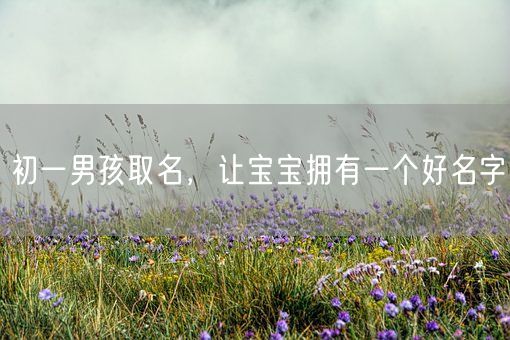 初一男孩取名，让宝宝拥有一个好名字(图1)