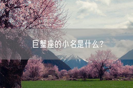 巨蟹座的小名是什么？(图1)