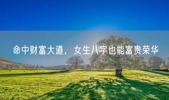 命中财富大道，女生八字也能富贵荣华(图1)