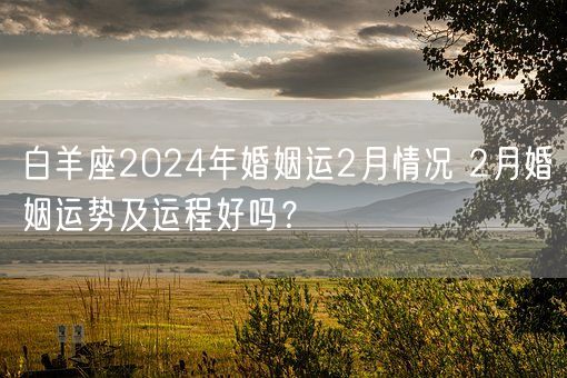 白羊座2024年婚姻运2月情况 2月婚姻运势及运程好吗？(图1)