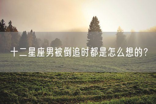 十二星座男被倒追时都是怎么想的？(图1)