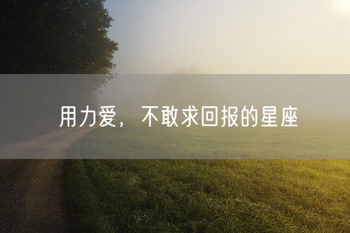 用力爱，不敢求回报的星座(图1)