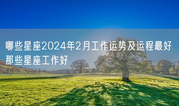 哪些星座2024年2月工作运势及运程最好 那些星座工作好(图1)