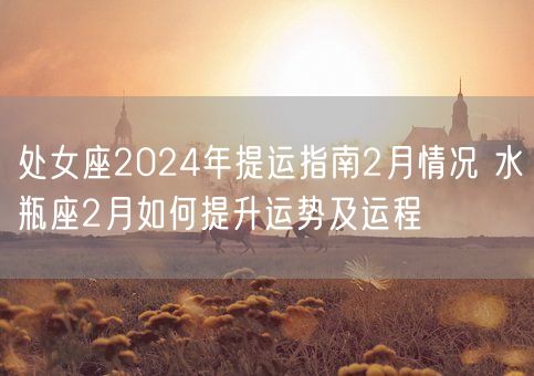 处女座2024年提运指南2月情况 水瓶座2月如何提升运势及运程(图1)