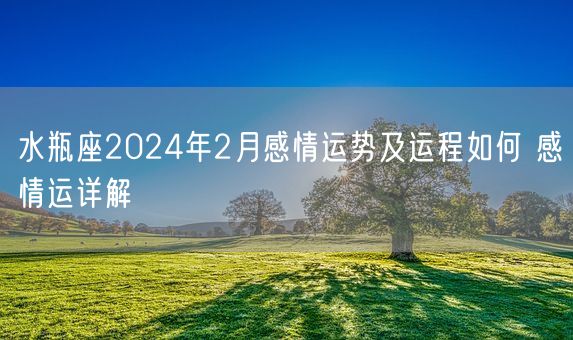 水瓶座2024年2月感情运势及运程如何 感情运详解(图1)