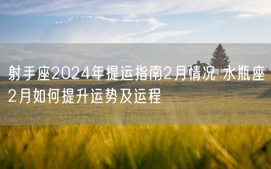 射手座2024年提运指南2月情况 水瓶座2月如何提升运势及运程(图1)