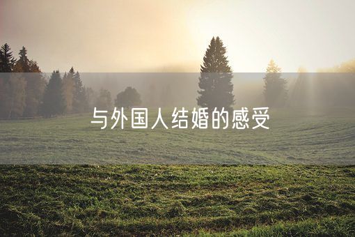 与外国人结婚的感受(图1)