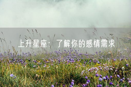 上升星座：了解你的感情需求(图1)