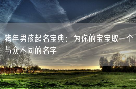 猪年男孩起名宝典：为你的宝宝取一个与众不同的名字(图1)