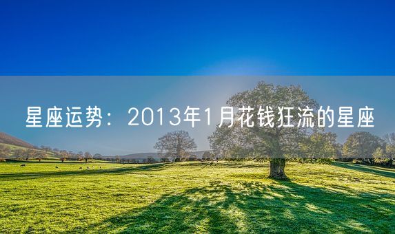 星座运势：2013年1月花钱狂流的星座(图1)