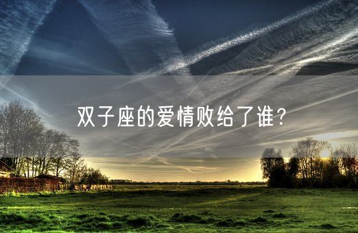 双子座的爱情败给了谁？(图1)