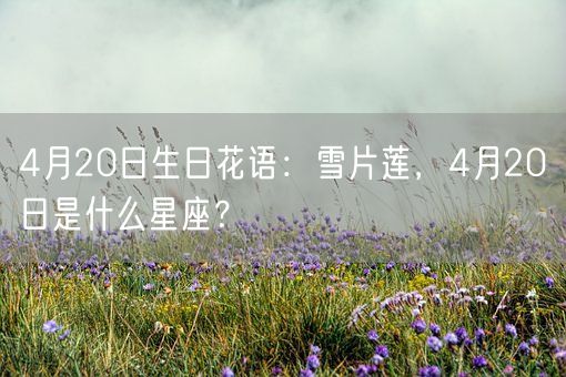 4月20日生日花语：雪片莲，4月20日是什么星座？(图1)