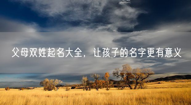 父母双姓起名大全，让孩子的名字更有意义(图1)