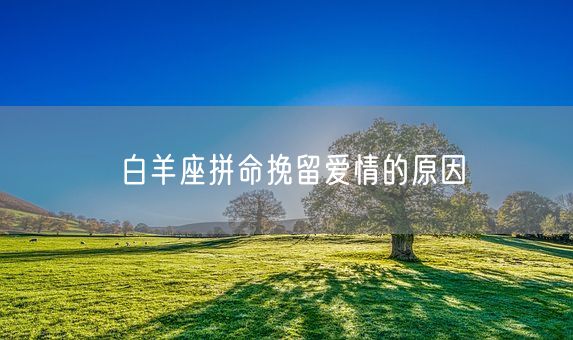 白羊座拼命挽留爱情的原因(图1)