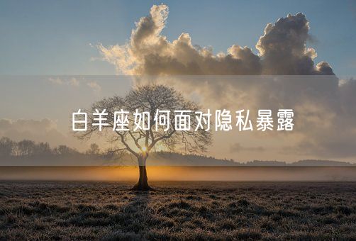 白羊座如何面对隐私暴露(图1)