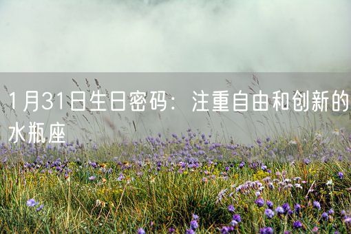 1月31日生日密码：注重自由和创新的水瓶座(图1)