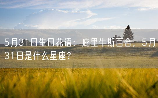 5月31日生日花语：庇里牛斯百合，5月31日是什么星座？(图1)