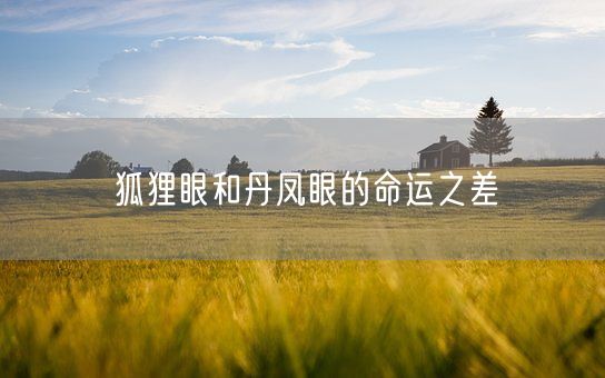 狐狸眼和丹凤眼的命运之差(图1)