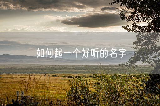 如何起一个好听的名字(图1)