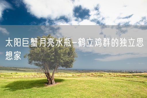 太阳巨蟹月亮水瓶-鹤立鸡群的独立思想家(图1)