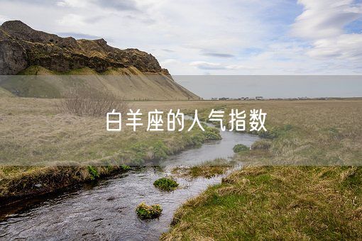 白羊座的人气指数(图1)