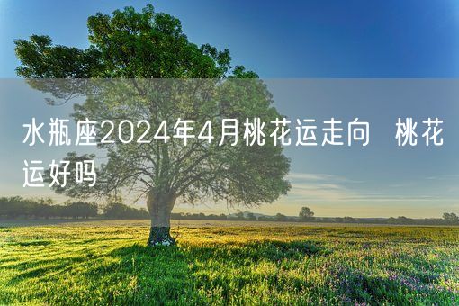 水瓶座2024年4月桃花运走向  桃花运好吗(图1)