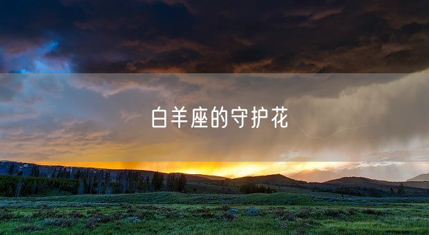 白羊座的守护花(图1)