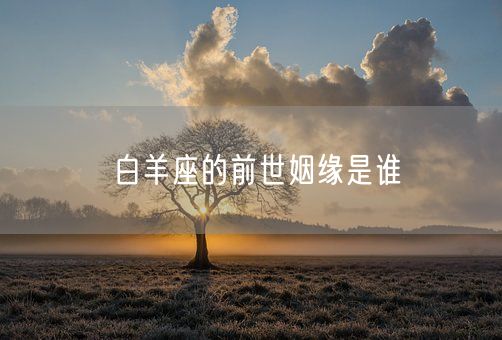 白羊座的前世姻缘是谁(图1)