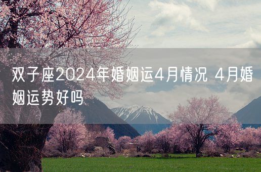 双子座2024年婚姻运4月情况 4月婚姻运势好吗(图1)