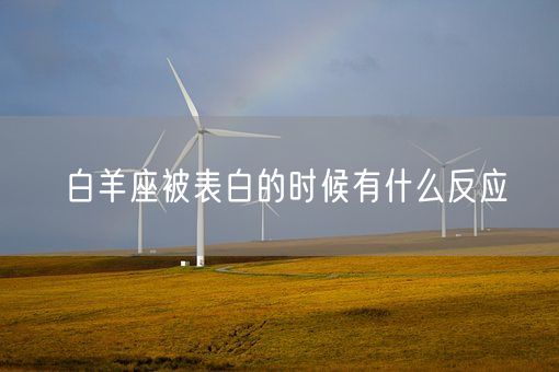 白羊座被表白的时候有什么反应(图1)