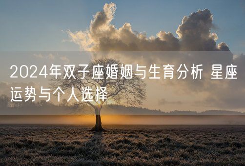 2024年双子座婚姻与生育分析 星座运势与个人选择(图1)