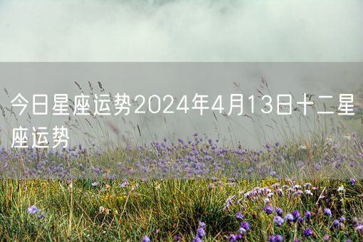 今日星座运势2024年4月13日十二星座运势(图1)