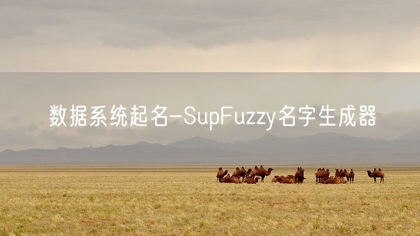 数据系统起名-SupFuzzy名字生成器(图1)